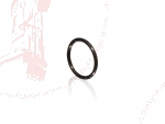 Everpure Zubeh�r O-Ring schwarz passend f�r BWSO-Patrone