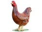 Preview: Huhn XXL, (braun-hochglanz), 154x145x70 cm für den Außenbereich