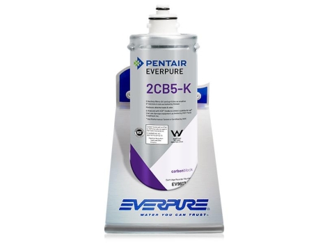 Everpure 2CB5K Wasserfilter für Eiswürfel