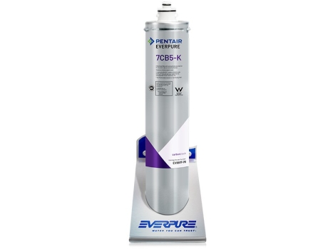 Everpure 7CB5K Wasserfilter für Eiswürfel