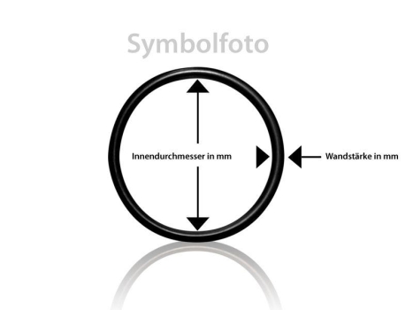 O-Ring 46 x 2,5 mm NBR schwarz für N&W Wittenborg Diffuserdeckel