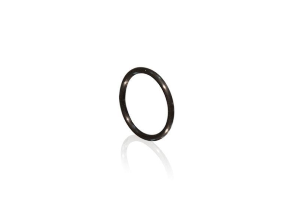 Everpure O-Ring für BWSO Wasserfilter