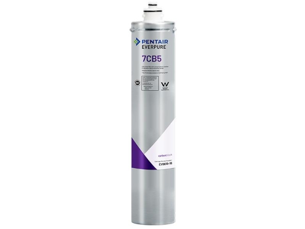 Everpure 7CB5 Blockfilter für Kaltgetränke, Wasserspender