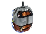 Evoca Motor für Riemenmühle linkslaufend
