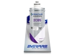 Everpure 2CB5 Wasserfilter Blockfilter für Kaltgetränke, Wasserspender