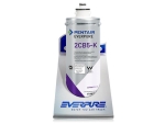 Everpure 2CB5K Wasserfilter für Eiswürfel